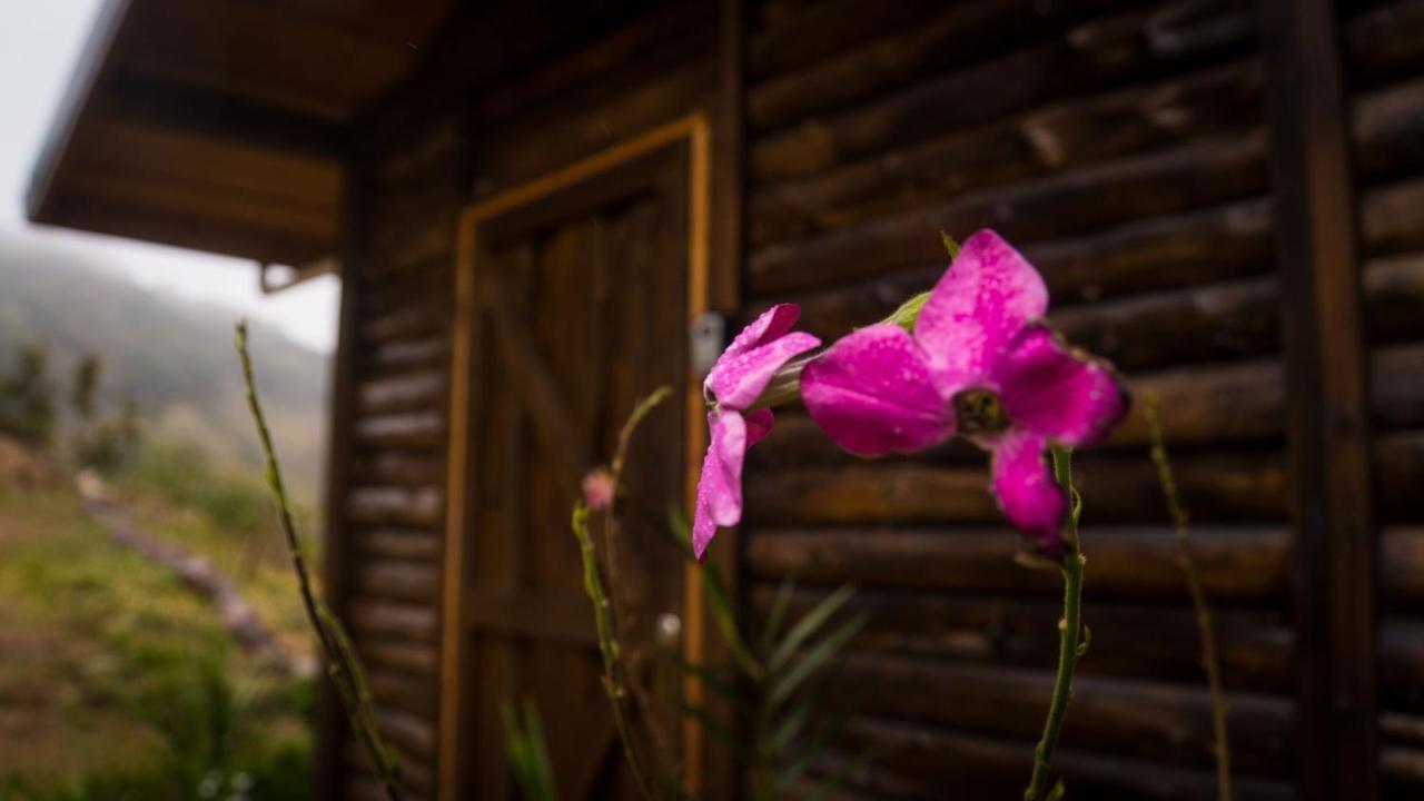 Finca las Huellas: Cabaña acogedora en la montaña Villa Estrella Exterior foto