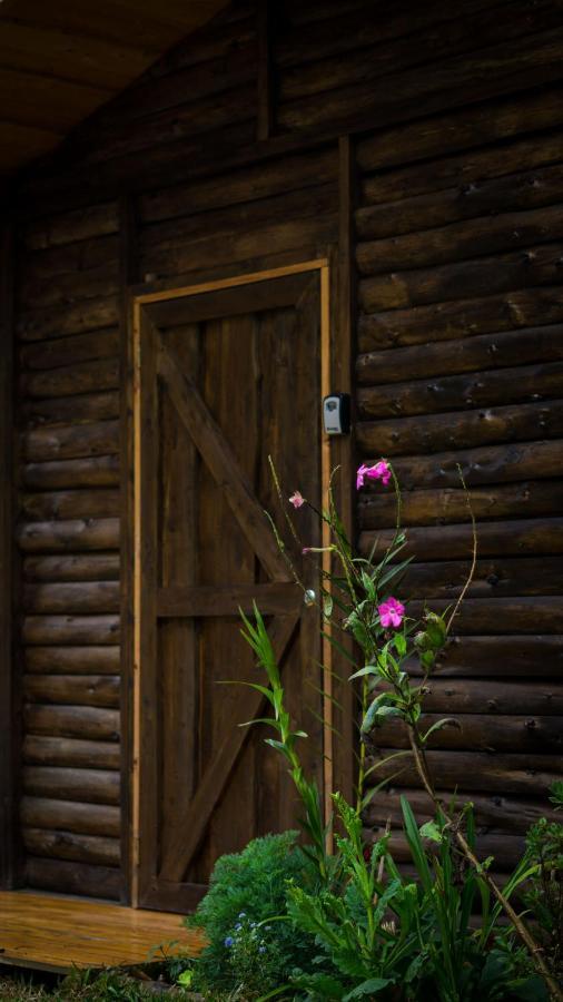 Finca las Huellas: Cabaña acogedora en la montaña Villa Estrella Exterior foto
